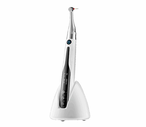 WP Endo Space (SET)